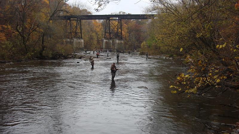 No shortage of fishermen.JPG